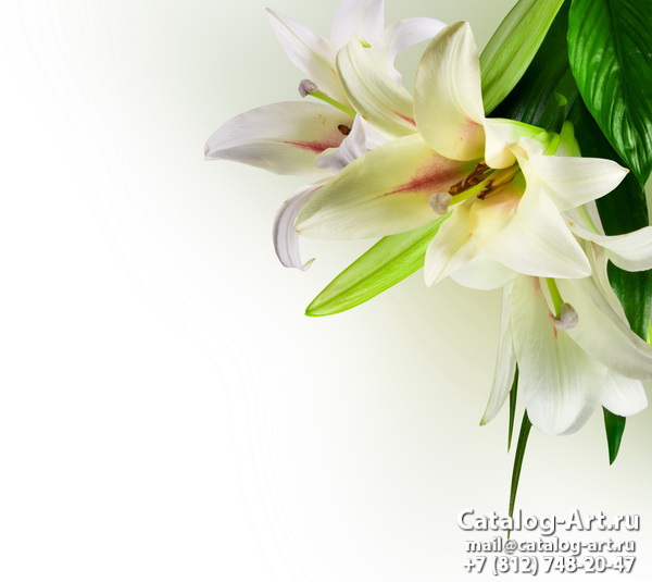 White lilies 14